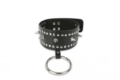 Ошейник с шипами и кольцом photo 1