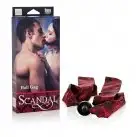 Кляп Scandal Ball Gag photo 3