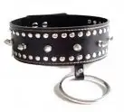 Ошейник с кольцом и шипами photo 1